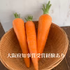 安心安全！甘〜い人参！　使い切りサイズ　大阪府堺産