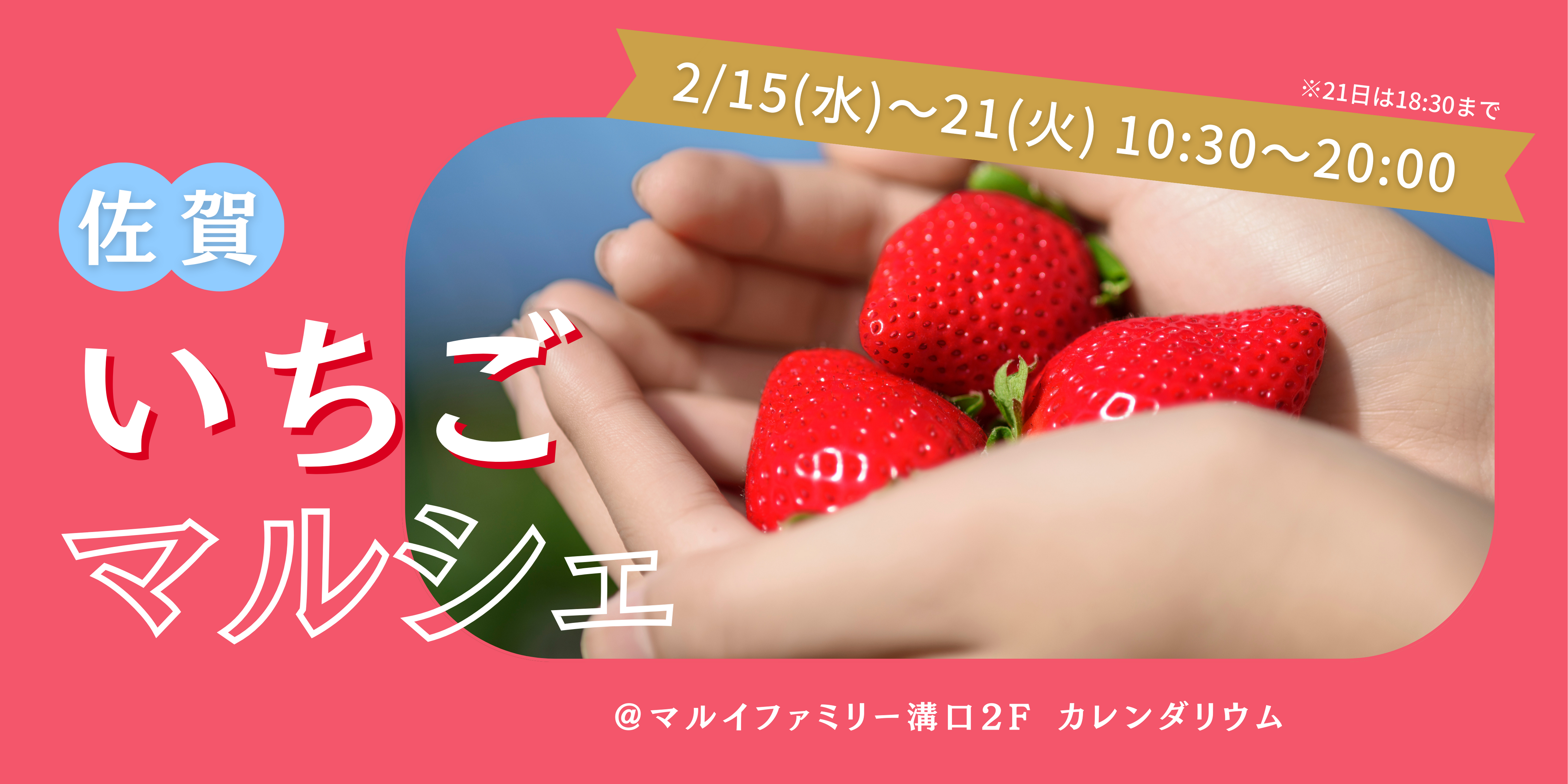 佐賀いちごマルシェ🍓を開催！【2/15水〜21火 マルイファミリー溝口 ...