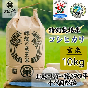 【ポケマルの夏ギフト】270年続くお米農家が作ったコシヒカリ 10kg 玄米