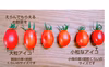 【お試し】小粒なアイコ×ちょいキズトマトの詰合せ