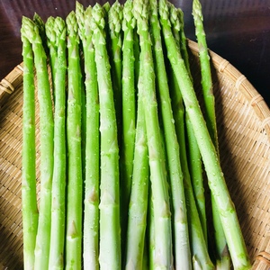 アスパラとトマトの夏セット