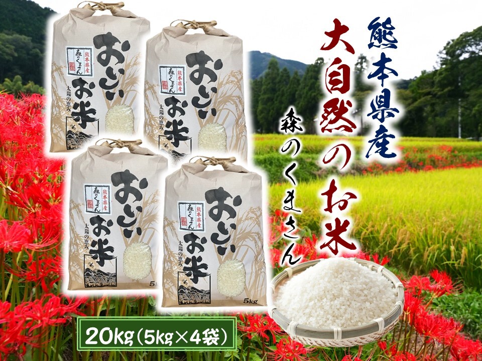 新米　森のくまさん　20kg  令和4年熊本県産 楽天市場】森のくまさん 2kg ～ 15kg 令和6年産 九州 熊本県産