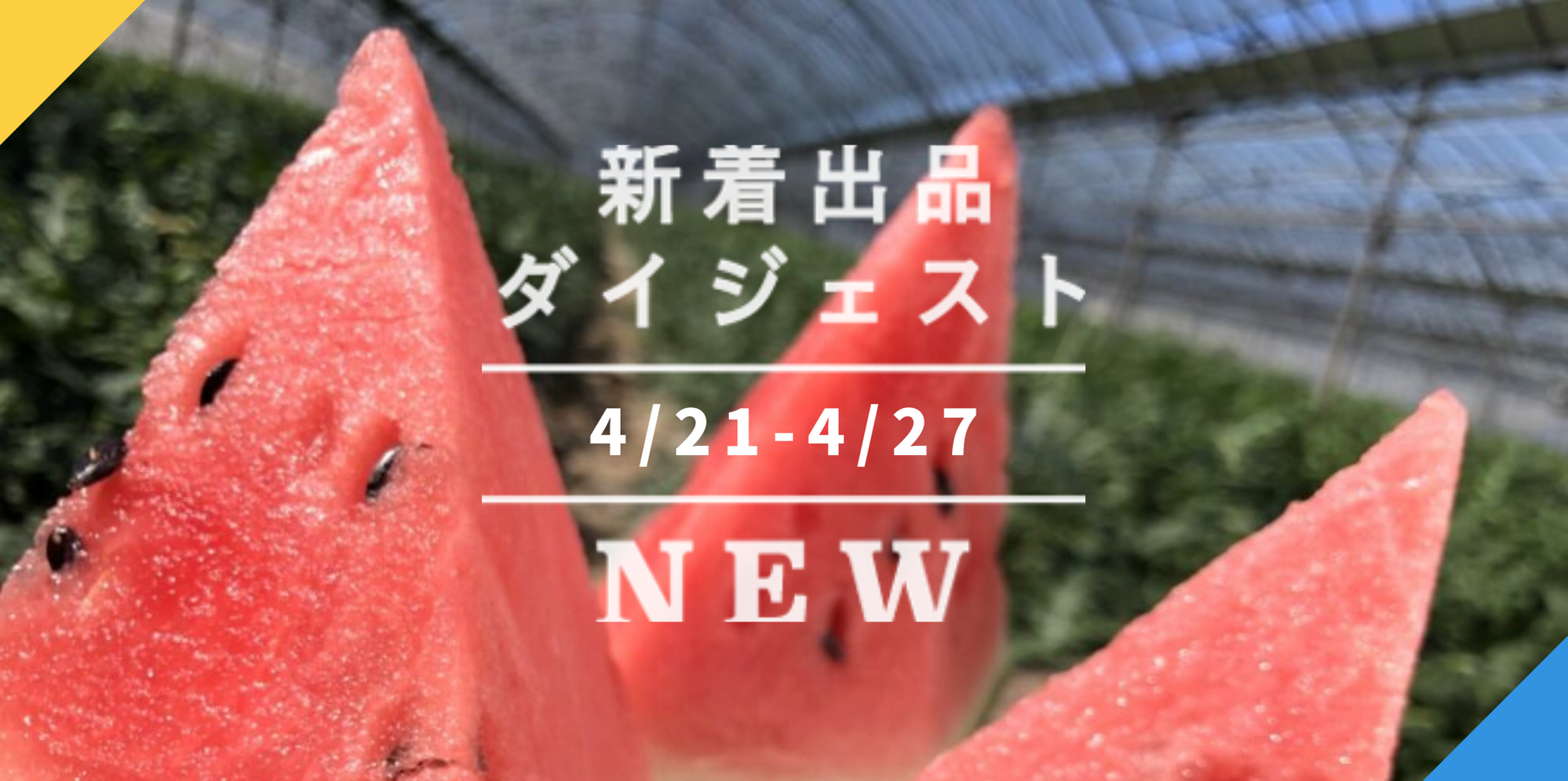 バックナンバー]植木スイカも､にんにくの芽も！GWの旬ざかり🍉今週のおすすめ新着出品[2021年4月30日編] |