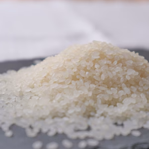 〇令和4年産特別栽培米ヒノヒカリ〇精米600ｇ～
