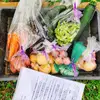 季節を運ぶ　旬の野菜セット　【7～10品程度】