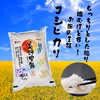 令和5年産　美野里舞　精米 （コシヒカリ）
