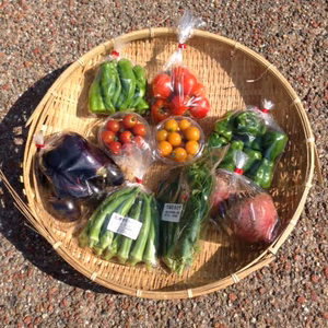 選べる8品！たのしく無農薬野菜セットM