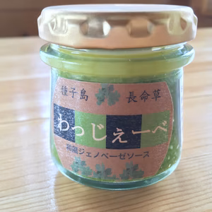 和風バジル⁉︎スーパープランツ長命草ソース 「わっじぇーべ」