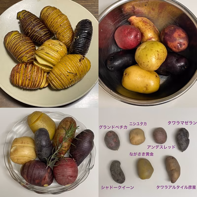 みんなの投稿の画像