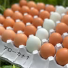 ＋アローカナ10個!!　国産鶏もみじ80個と合わせてドーンと90個‼
