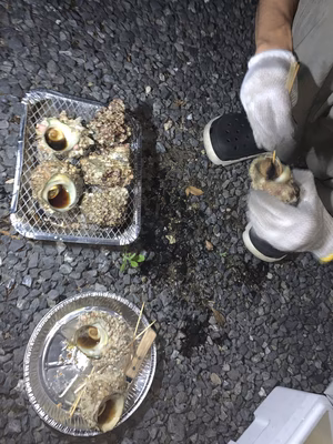 みんなの投稿の画像