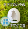 タマゴのカラのオマケ付き‼　濃厚自慢の名古屋コーチン卵35個入‼
