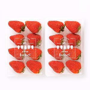 いちご　紅ほっぺ贈答用300g 2パック/4パック