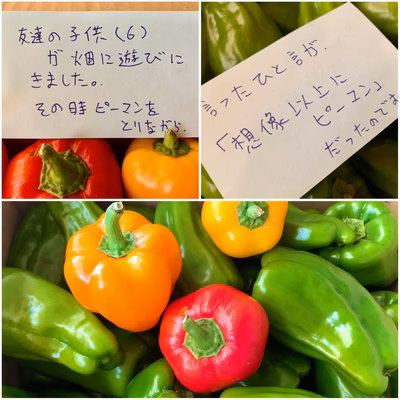 みんなの投稿の画像