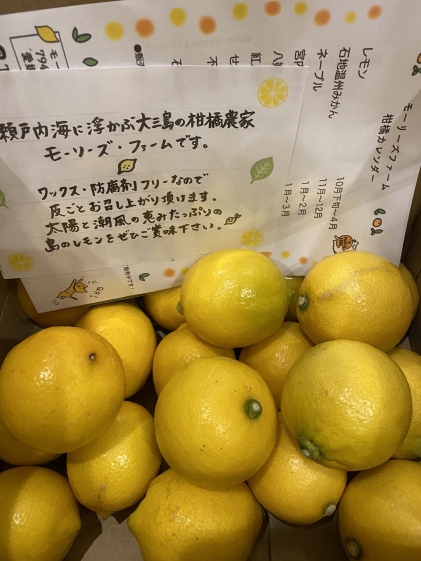 皮ごと食べられる ワックス 防腐剤フリー 国産レモン 大三島レモン 農家漁師から産地直送の通販 ポケットマルシェ