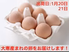 無病息災金運上昇！　濃厚自慢の名古屋コーチン大寒卵36個入‼