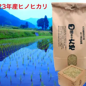 新米！ヒノヒカリ玄米5㎏　2023年度