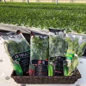 栽培期間中農薬不使用★野菜セット（サラダ、スムージーなどに生のままで◎）