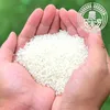 農業学校のコシヒカリ・ミルキークイーン白米・無洗米お試しセット3kg/5kg
