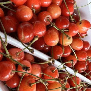 早い者勝ちです❗️訳ありさくらんぼ❗️