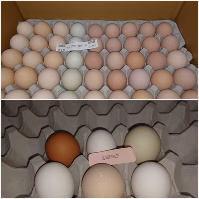 みんなの投稿の画像