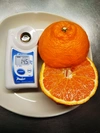蔵出し　柑橘の王様　不知火　贈答用　4.5キロ　