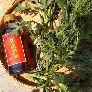 ゴマ油付き：香りと甘みが推しの春菊600グラム（肥料、農薬使わず）