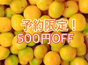 【予約割】【10月発】大玉 熊本みかん 極早生 10キロ