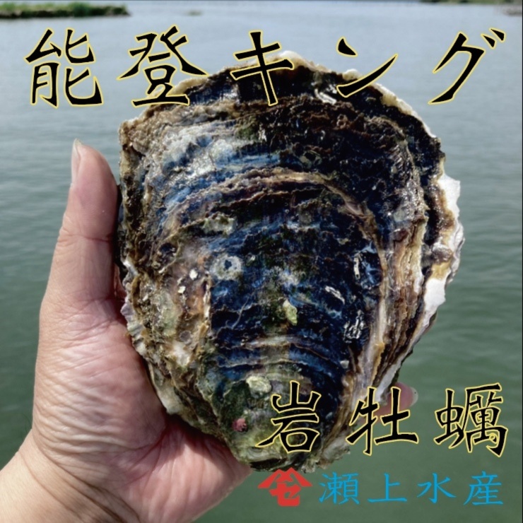 期間限定特価!☆メーカー価格より60%OFF!☆ 送料無料 ヒメエゾボラ 2kg 青ツブ貝 漁師直送品 生出荷 お刺身甘煮などに 通販 魚介類 その他魚介 生出荷漁師直送 ヒメエゾボラ 4kg 送料無料 青ツブ貝 産地直送