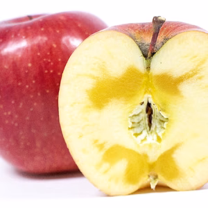 山形県産 サンふじ蜜入り 5ｋｇ 中玉「訳あり品」 16~20個入り!!