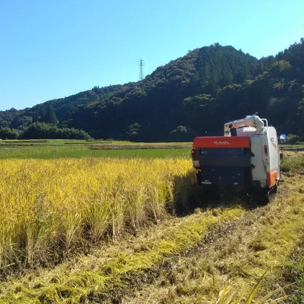 【特別栽培米】立神米はいごころ【新米・玄米】