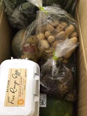 みんなの投稿の画像