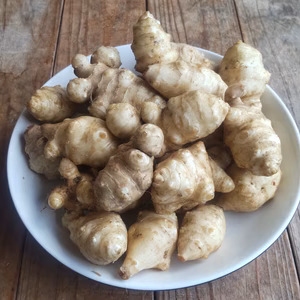菊芋（自然栽培）2キロor3キロ