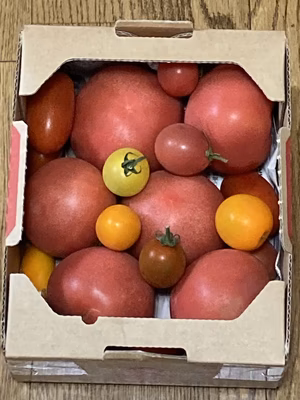 みんなの投稿の画像