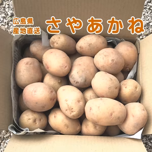 ほくほく系の『やみつきじゃがいも』 さやあかね ‼