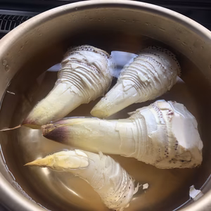 筍マニア限定、じんでん紫乃筍プレミア（湯がきたけのこ）