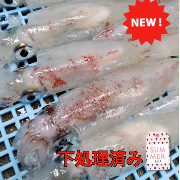☆鮮度抜群☆獲れたて唐津産・ヤリイカ　※下処理済み