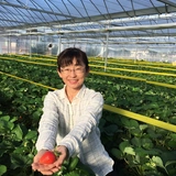 斉藤美保 | BerryFarm斉藤農園