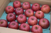 超減農薬栽培　家庭用サンふじりんご　16玉〜