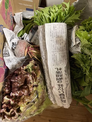 みんなの投稿の画像