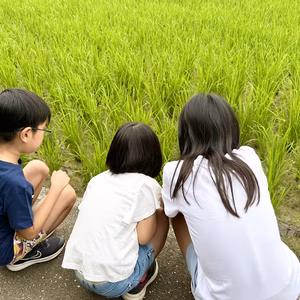 残り僅か！！令和7年新米⭐︎高知産コシヒカリ⭐︎玄米30kg 節減対象農薬