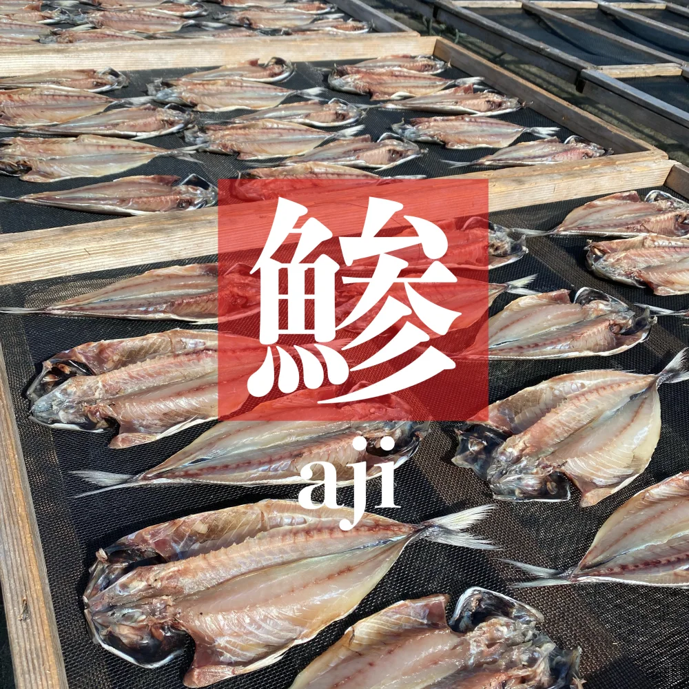 王道がうまい！鯵(アジ)の開き！