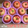 【セール中】りんご つがりんご 大玉 旬のパリパリりんご  リンゴ アップル 
