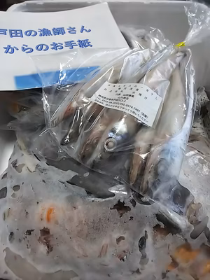 みんなの投稿の画像