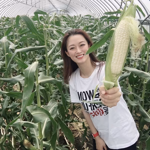 生で食べた方が美味しい白いとうもろこし！