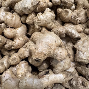 【親しょうが】きざんで、おろして、三州生姜を薬味にどうぞっ【小しょうが】