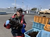 松島湾産たたきめかぶ100g10パックセット