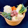 【規格外野菜利用】オーガニック野菜・シェフセット　