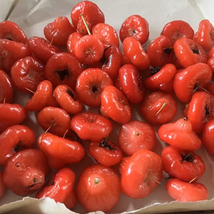 ミズレンブ (傷あり品) jambu