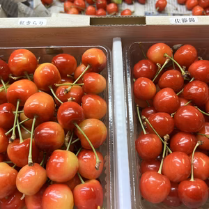 家庭用　園主の気まぐれ食べ比べセット✨900㌘